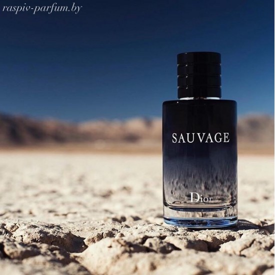 Dior Sauvage edt